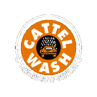 Ferrara Carwashing Sticker by CATTELWASH