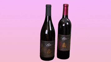 LeahVanDale cheers wine drinks salute GIF