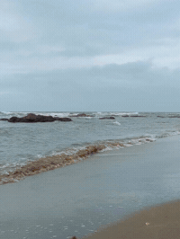 ZILIPUIPUI wtf weird poop gross GIF