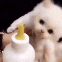 Bljght GIF