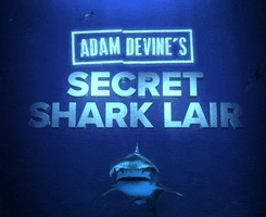 Adam Devine Discovery GIF by Shark Week