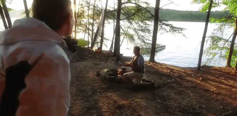 south carolina GIF