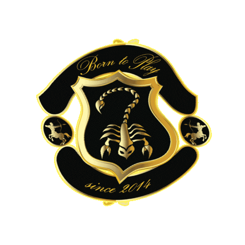BornToPlay btp b2p borntoplay voetbalskills Sticker