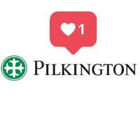 PilkingtonArgentina auto glass autos cristal GIF