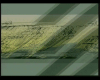 GIF by RUNNING TIME