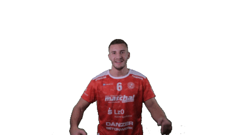 Handball Vtb Sticker by SG VTB/Altjührden