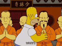 homer simpson questioning GIF