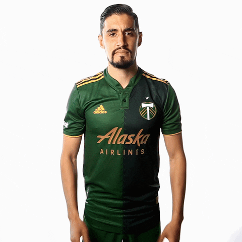 Portland Timbers Sport GIF by Timbers