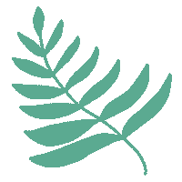 Flower Plant Sticker by Muchable