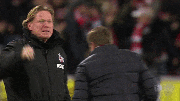 1 Fc Cologne Football GIF by 1. FC Köln