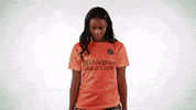 Houston Dash Sport GIF by National Women's Soccer League