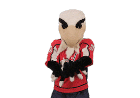 Celebrate Ice Hockey Sticker by NHL