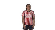 Liga Mx Futbol Sticker by Chivas Oficial