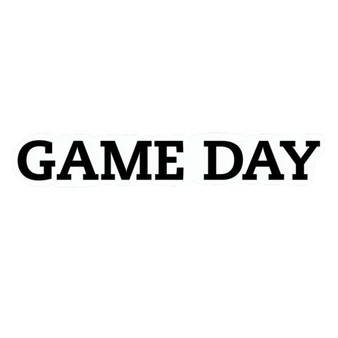 Game Day Falcons Sticker by Bentley University