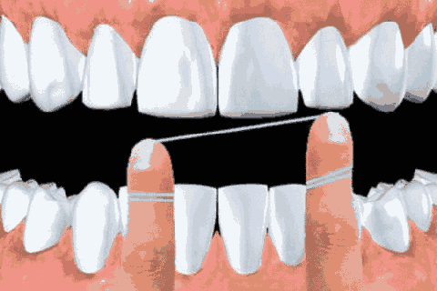 borasorrir giphyupload GIF