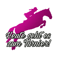 Pony Showjumping Sticker