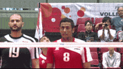 Power Yes GIF by Volleyball World