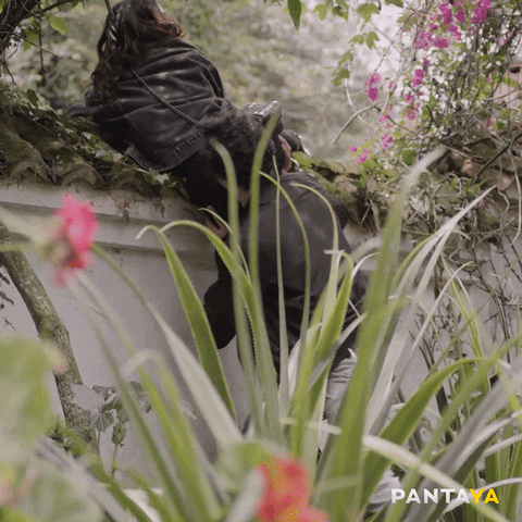 Happy Fun GIF by Pantaya