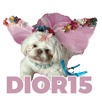 Cute Dogs Sticker by Pimp Yo Pets