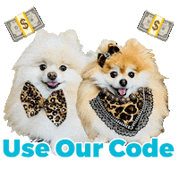 Pomeranian Cute Dogs Sticker by Pimp Yo Pets