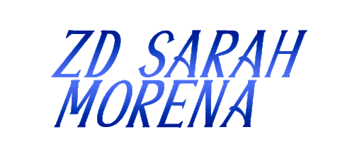 sarahmorena Sticker by Protec Horse
