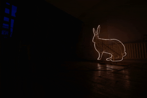 Lonneke Cuppen GIF by CRimptonite