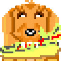 Cocker Spaniel Sneaker GIF by Teo KayKay