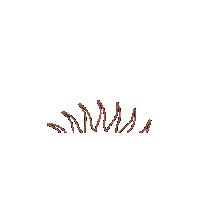Sunset Jewelry Sticker by Luamaya