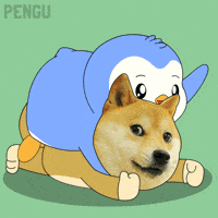 Fight Win GIF by Pudgy Penguins