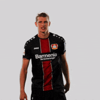 europa league no GIF by Bayer 04 Leverkusen
