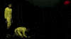 soccer GIF by CUCougars