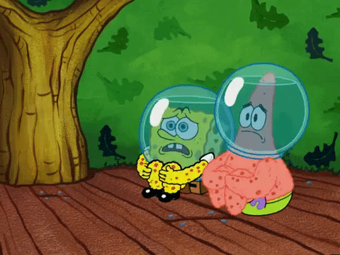 season 5 episode 10 GIF by SpongeBob SquarePants