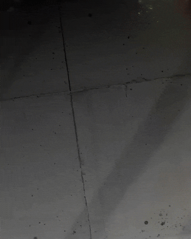 Vasco Da Gama GIF