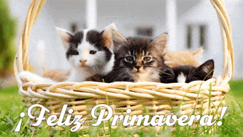 ¡Feliz Primavera!