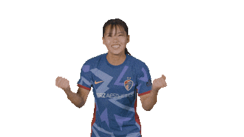 North Carolina Courage Sport Sticker by National Women's Soccer League