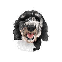 Pepperpp Sticker by Pickle's Pawtraits