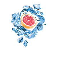 sparklingicespiked dancing summer ice fruit Sticker