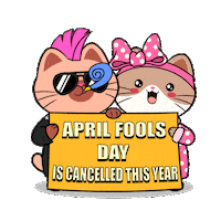 April Fools Cute Cat Sticker by Silly Kitties