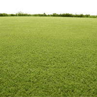 Just Passing Through Drive By GIF by TeaCosyFolk