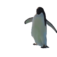 Happy Feet Dancing Sticker by PBS
