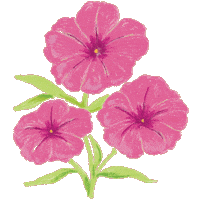 Drfelisflower Sticker by Dr.Felis