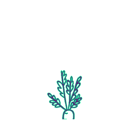 VeggieCrumbz giphygifmaker food healthy natural Sticker