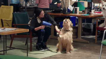 abc GIF by Alex, Inc.