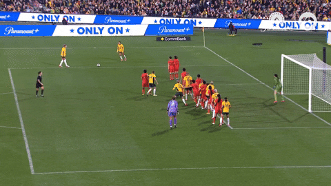 Michelle Heyman Celebration GIF by Football Australia