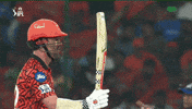 Sunrisers Hyderabad Head GIF