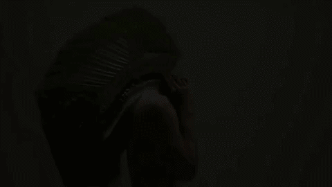 GIF by NOWNESS