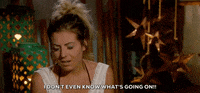 season 3 abc GIF by Bachelor in Paradise