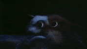 gizmo GIF