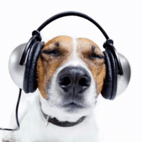 Vibing New Music GIF