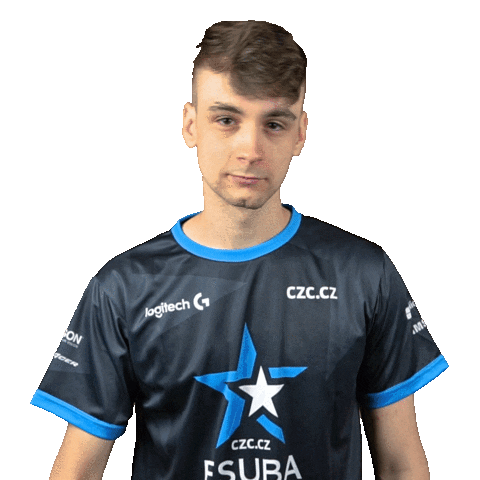 Csgo Sticker by eSuba